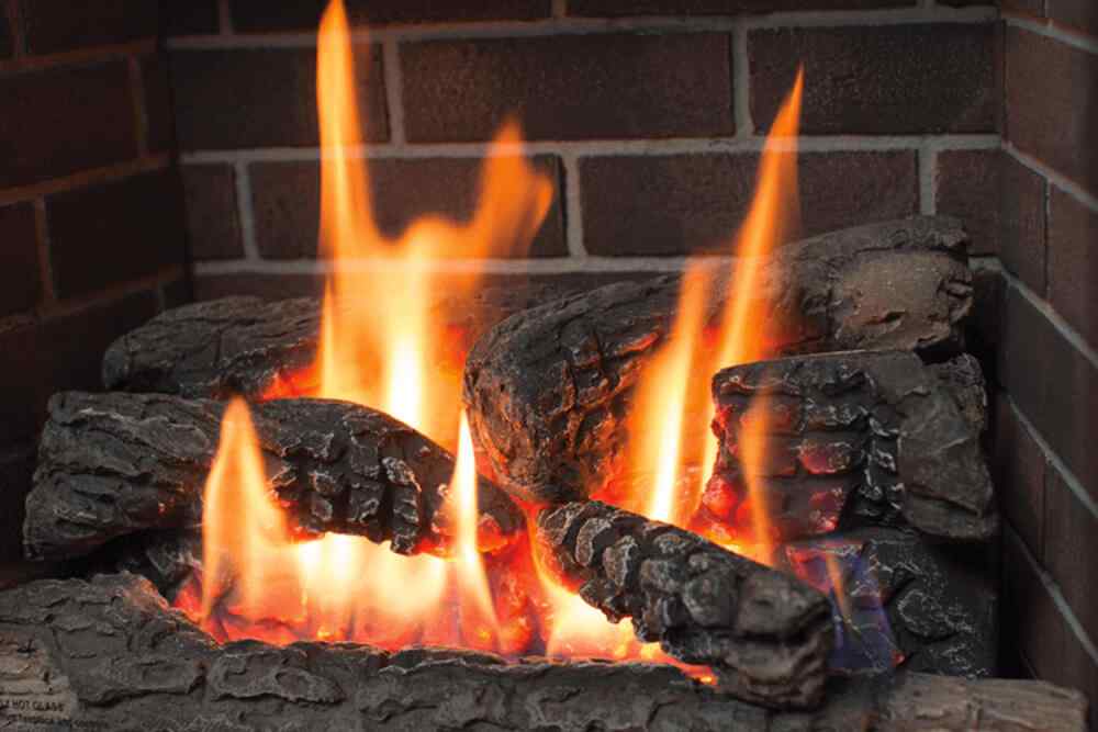 Portrait Gas Fireplace Log Set